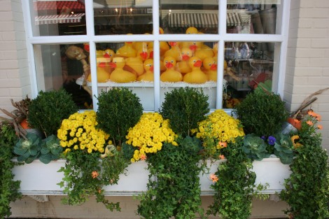 Cape May Washinhgton Street Mall