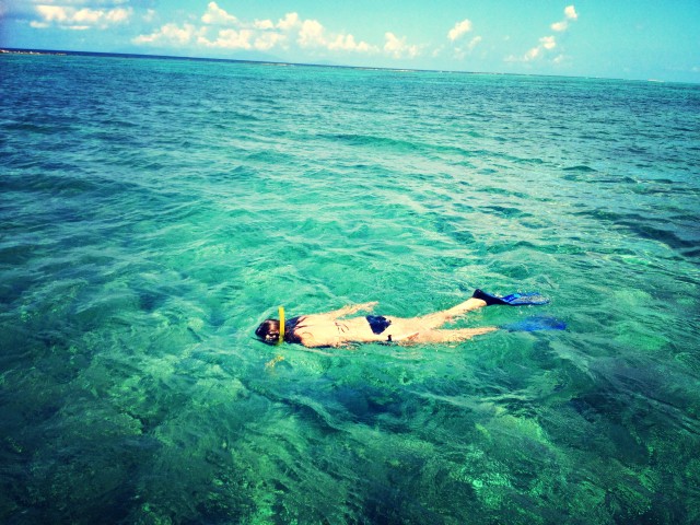 snorkeling in antigua