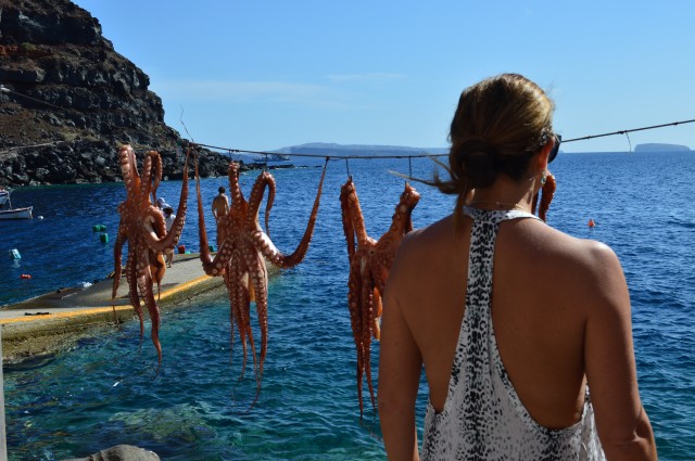 Octopus in Santorini